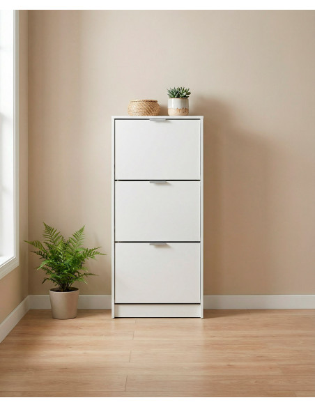 Zapatero estrecho 3 trampones PAXO ambiente