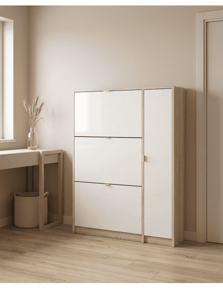 Zapatero 3 puertas + vertical TRACK ambiente