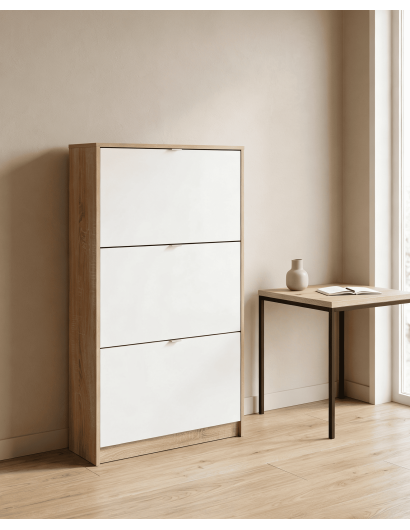 Zapatero 3 puertas TRACK ambiente