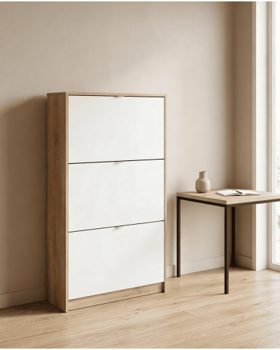 Zapatero 3 puertas TRACK ambiente