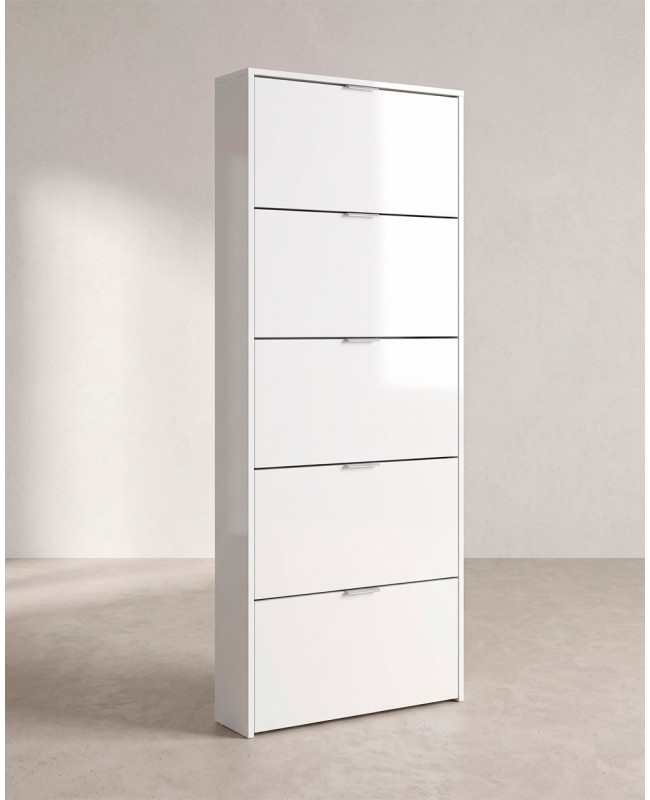 Zapatero 5 puertas CENCO LADO