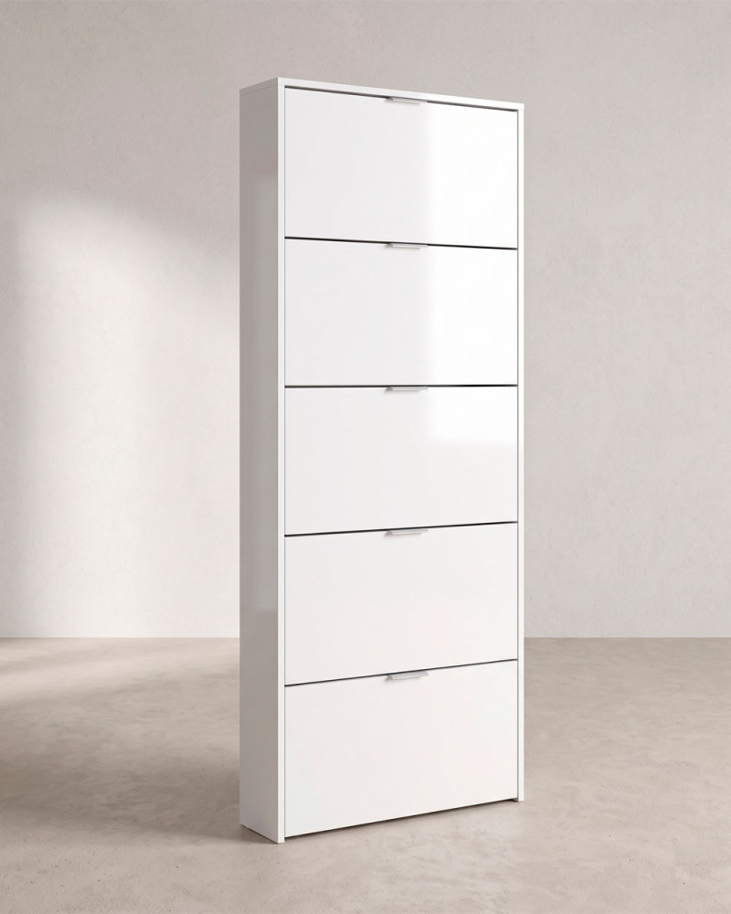 Zapatero 5 puertas CENCO LADO
