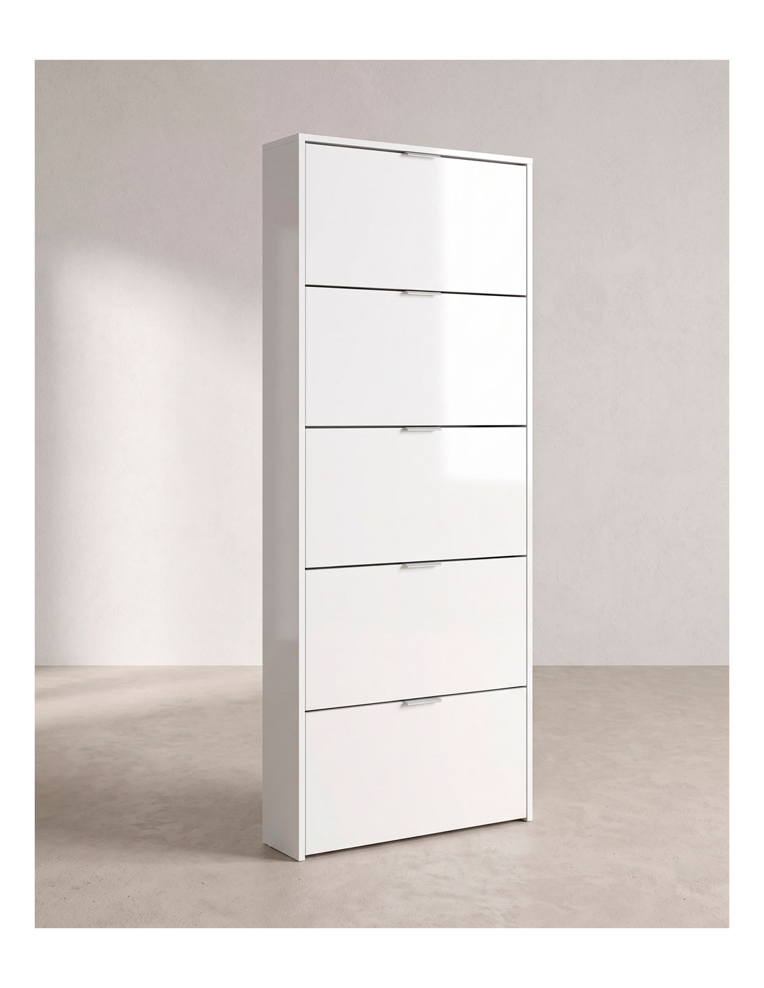 Zapatero 5 puertas CENCO LADO