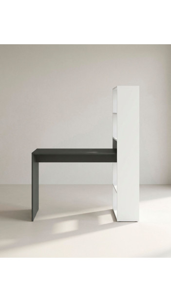 Mesa + estantería GIA